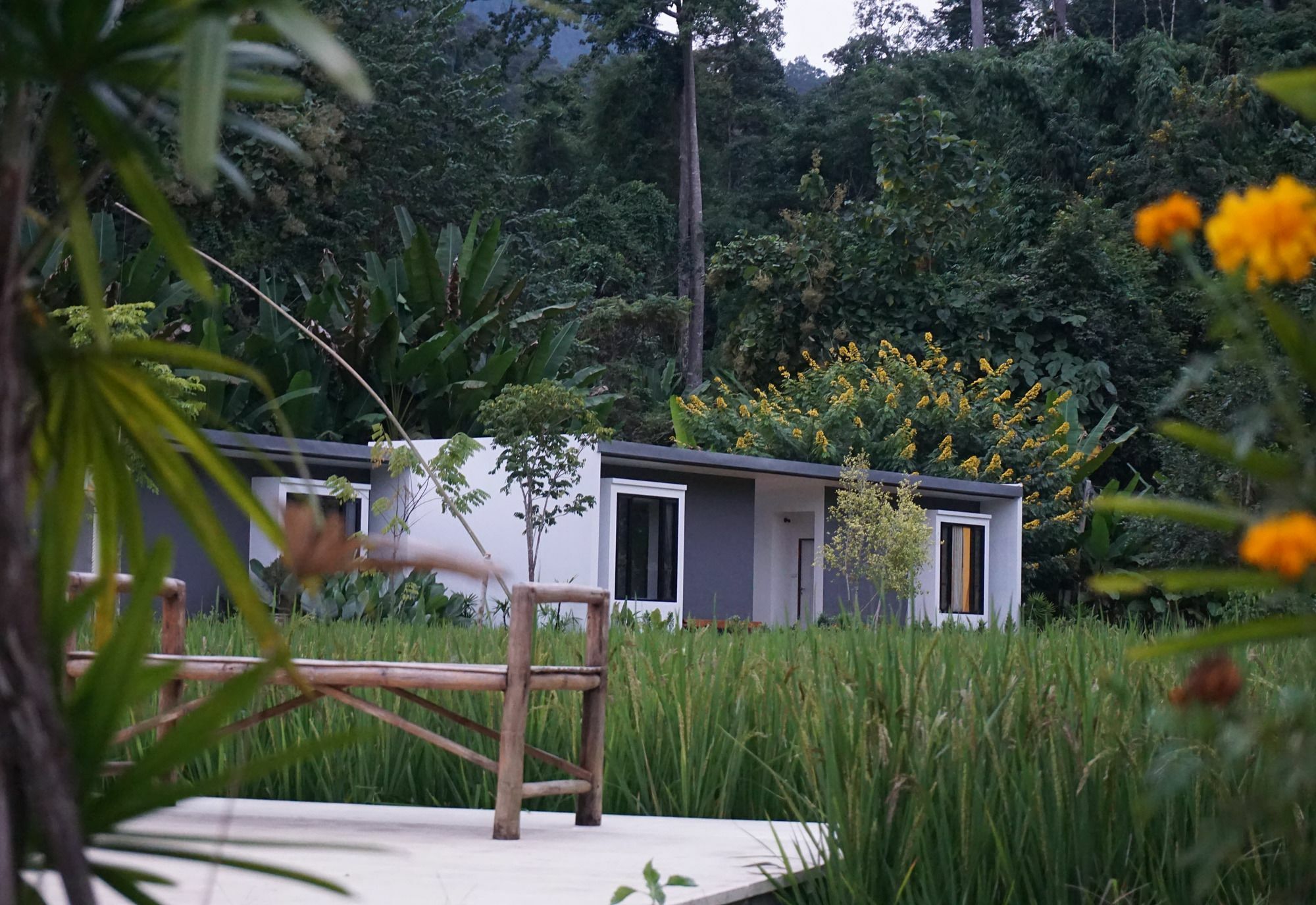 Villa De View Chiang Dao Extérieur photo