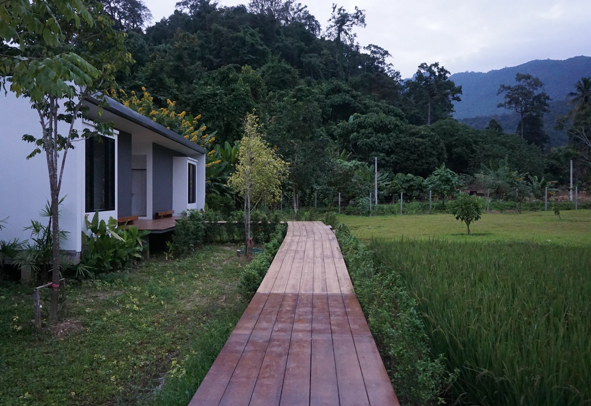 Villa De View Chiang Dao Extérieur photo